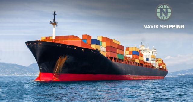 top shipping company in india